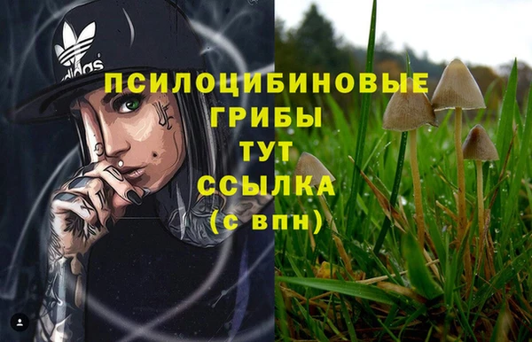 кокс Алексеевка