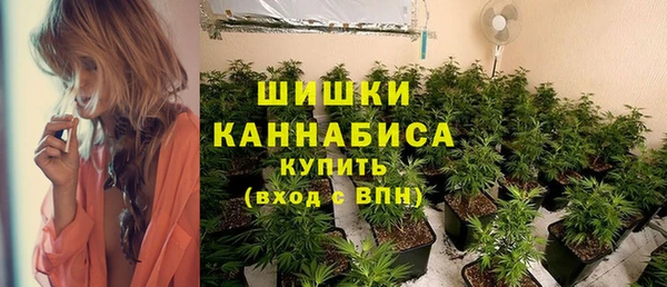 соль ск Алзамай