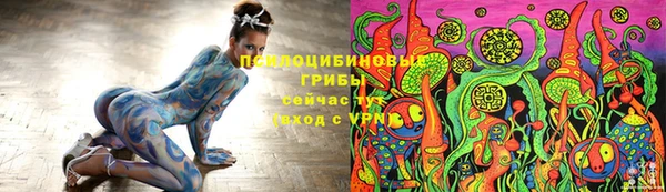 соль ск Алзамай