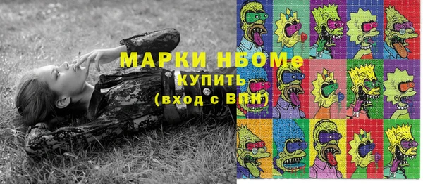 амф Алексин